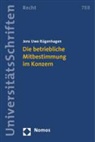 Jens Uwe Rügenhagen - Die betriebliche Mitbestimmung im Konzern