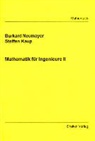 Steffen Kaup, Burkhard Neumayer - Mathematik für Ingenieure II