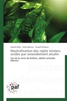 Said Alikouss, Saida Alikouss, Samih Nfissi, Samiha Nfissi, Youssef Zerhouni - Neutralisation des rejets miniers