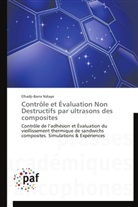 Elhadji-Barra Ndiaye, Ndiaye-e - Controle et evaluation non