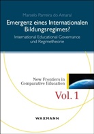 Marcelo Parreira Do Amaral, Marcelo Parreira do Ameral - Emergenz eines internationalen Bildungsregimes?