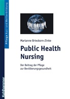 Marianne Brieskorn-Zinke - Public Health Nursing