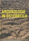 Herwig Friesinger, Stefan Titscher - Archäologie in Österreich