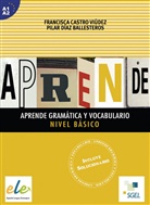 Francisc Castro Viúdez, Francisca Castro Viúdez, Pilar Díaz Ballesteros - Aprende gramática y vocabulario, Nivel bàsico A1/A2