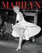 David Wills - Marilyn in the Flash