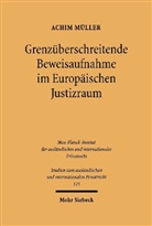 Achim Müller - Grenzüberschreitende Beweisaufnahme im Europäischen Justizraum