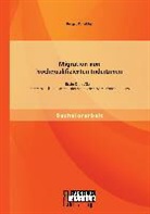 Birgit Winkler - Migration von hochqualifizierten InderInnen: Brain Drain/Gain. Interessenslagen seitens der staatlichen AkteurInnen Indiens