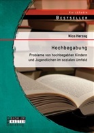 Nico Herzog - Hochbegabung. Probleme von hochbegabten Kindern und Jugendlichen im sozialen Umfeld. Integration in die Gesellschaft