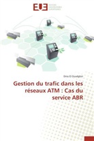 Driss El Ouadghiri, El ouadghiri-d - Gestion du trafic dans les
