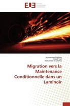 Mohamed El Ghorba, Mohammed Lahlou, Nacef Tazi - Migration vers la maintenance