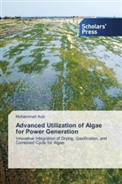 Muhammad Aziz - Advanced Utilization of Algae for Power Generation