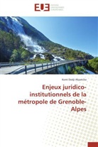 Komi Dodji Akpatcha, Akpatcha-k - Enjeux juridico institutionnels