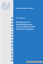 Karl Mühlbauer, Dieter Bartmann - Optimierung von Geschäftsprozessen in der Kreditwirtschaft mit System Dynamics