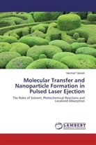 Marshall Tabetah - Molecular Transfer and Nanoparticle Formation in Pulsed Laser Ejection