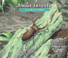 Cathryn Sill, Cathryn/ Sill Sill, John Sill - About Insects