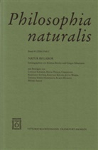 Kristian Köchy, Gregor Schiemann - Philosophia naturalis - 43/1: Natur im Labor