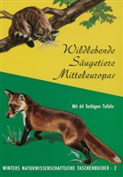 G Koller, G. Koller, Gottfried Koller - Wildlebende Säugetiere Mitteleuropas