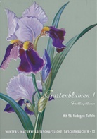 Ludwig Klein, Werner Rauh - Gartenblumen / Frühlingsblumen. Bd.1