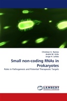 Jorge H, Jorge H Leitão, Jorge H., Jorge H. Leitão, Andr M, Andr M Grilo... - Small non-coding RNAs in Prokaryotes
