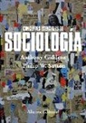 Anthony Giddens, Philip W. Sutton - Conceptos esenciales de Sociología