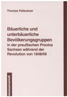 Thomas Felleckner - Bäuerliche und unterbäuerliche Bevölkerungsgruppen in der preussischen Provinz Sachsen während der Revolution von 1848/49