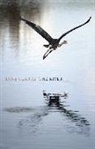 JANE CLARKE - The River