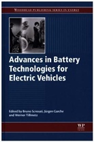 Bruno Scrosati, Bruno Garche Scrosati, J. Garche, J. Rgen Garche, Jurgen Garche, Jürgen Garche... - Advances in Battery Technologies for Electric Vehicles