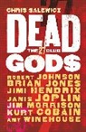 Chris Salewicz - Dead Gods: The 27 Club