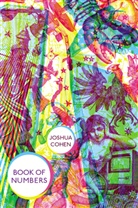 Joshua Cohen - The Book of Numbers