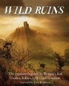 Dave Hamilton, Hamilton Dave - Wild Ruins