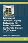 P. Fennell, Paul Fennell, Paul Anthony Fennell, Ben Anthony, Ben (Cranfield University Anthony, Anthony Ben... - Calcium Chemical Looping Technology for Power Generation Carbon