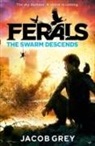 Jacob Grey - The Swarm Descends