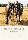 Diana Zeuner - Heavy Horses