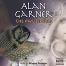 Alan Garner, Wayne Forester - Owl Service (Hörbuch)