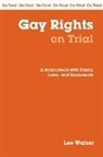 Lee Walzer, Lee Walzer - Gay Rights on Trial