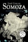 José Carlos Somoza - Dafne desvanecida