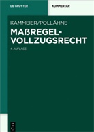Hein Kammeier, Heinz Kammeier, Pollähne, Pollähne, Helmut Pollähne - Maßregelvollzugsrecht, Kommentar
