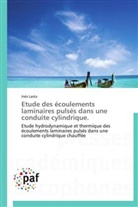 Inès Lasta, Lasta-i - Etude des ecoulements laminaires