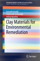 Ayucitra, Aning Ayucitra, Suryad Ismadji, Suryadi Ismadji, Felycia Ed Soetaredjo, Felycia Edi Soetaredjo - Clay Materials for Environmental Remediation