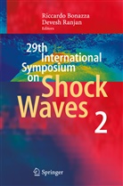 Riccard Bonazza, Riccardo Bonazza, Devesh Ranjan, Riccard Bonazza, Riccardo Bonazza, Ranjan... - 29th International Symposium  on Shock Waves 2. Vol.2