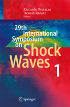 Riccard Bonazza, Riccardo Bonazza, Ranjan, Ranjan, Devesh Ranjan - 29th International Symposium  on Shock Waves 1. Vol.1