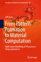 Jeff Jones - From Pattern Formation to Material Computation