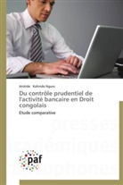 Aristide Kahindo Nguru, Nguru-a - Du controle prudentiel de l