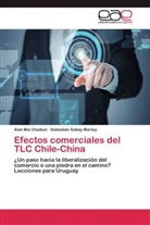 Sebastián Gabay Martoy, Alan Mai Chaibun - Efectos comerciales del TLC Chile-China