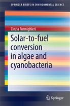 Cinzia Formighieri - Solar-to-Fuel Conversion in Algae and Cyanobacteria