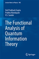 Ved Prakas Gupta, Ved Prakash Gupta, Ved Prakhash Gupta, Prabh Mandayam, Prabha Mandayam, V S Sunder... - The Functional Analysis of Quantum Information Theory