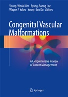 Young-Soo Do, Wayne F Yakes et al, Young-Wook Kim, Byung-Boon Lee, Byung-Boong Lee, Wayne F. Yakes - Congenital Vascular Malformations