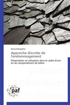 Renaud Bargellini, Bargellini-r - Approche discrete de l endommagemen
