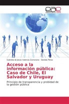 Daniela Pérez, Gabriela De Jesús Valencia Zamorano - Acceso a la información pública: Caso de Chile, El Salvador y Uruguay