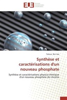 Takoua Ben Issa, Issa-t - Synthese et caracterisations d un